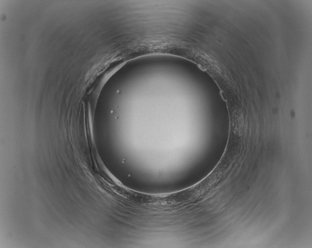 X0000068900740200605081345