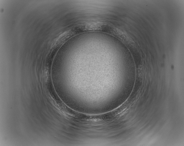 X0000068900741200605081345