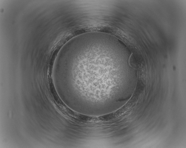 X0000068900742200605081345