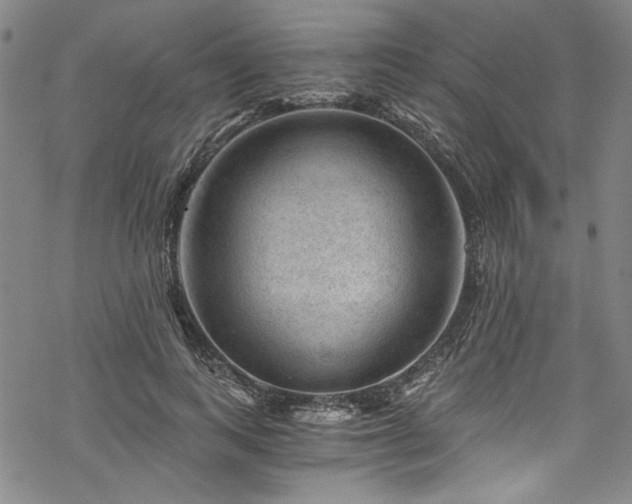 X0000068900743200605081345