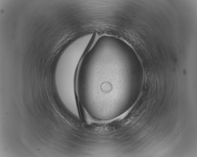 X0000068900744200605081345