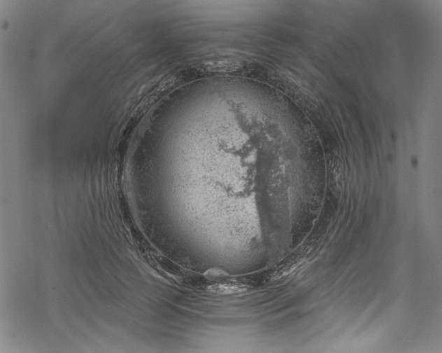 X0000068900745200605081345