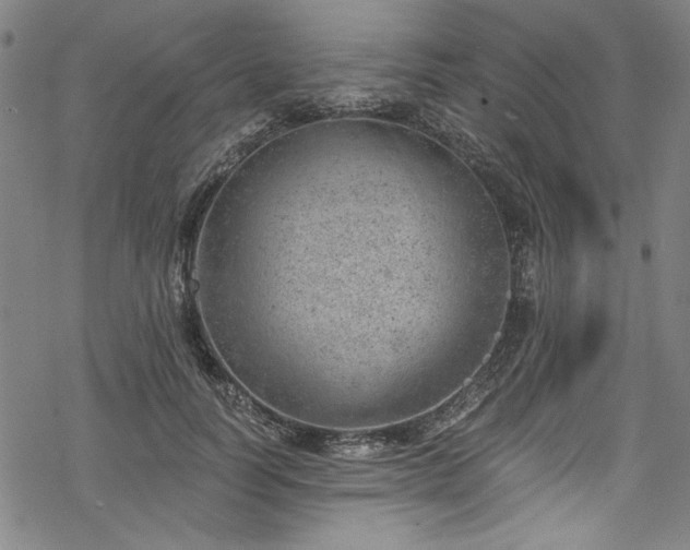 X0000068900746200605081345