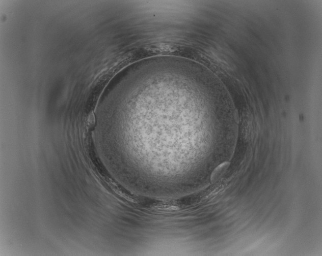 X0000068900747200605081345