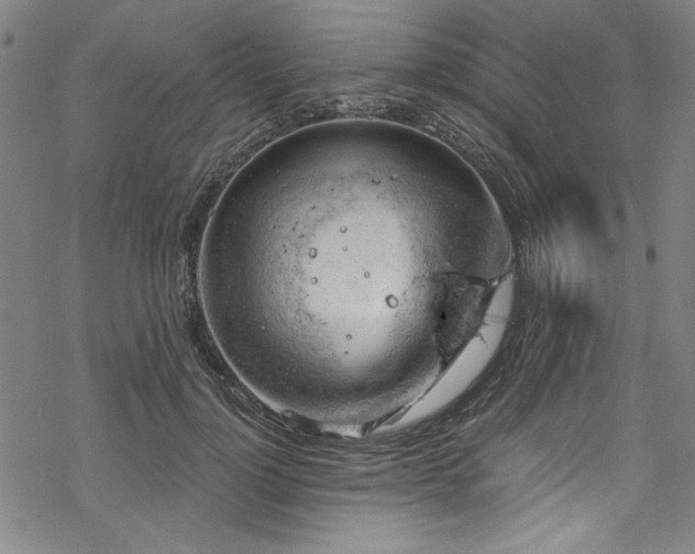 X0000068900748200605081345