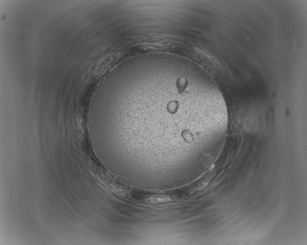 X0000068900749200605081345