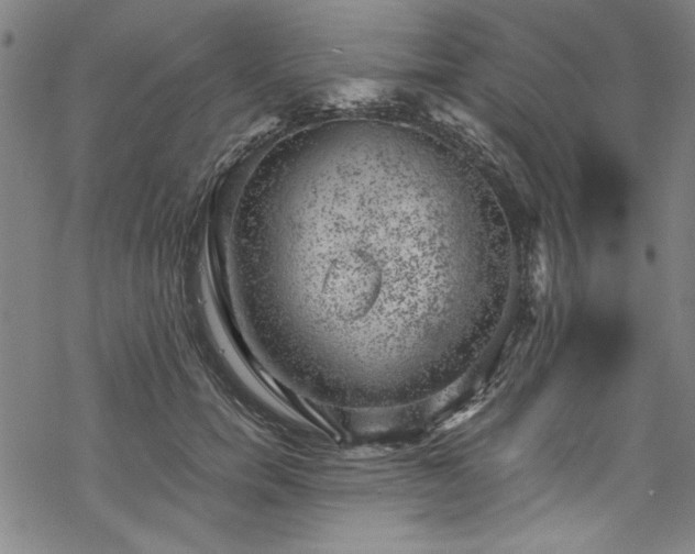 X0000068900750200605081345