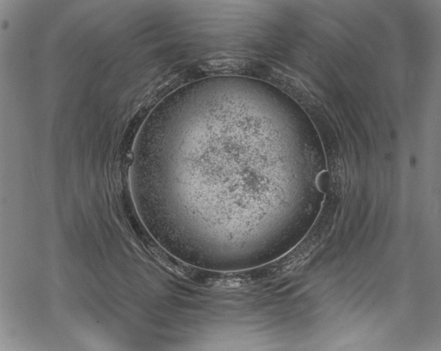 X0000068900751200605081345