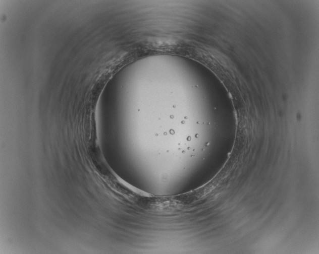 X0000068900752200605081345