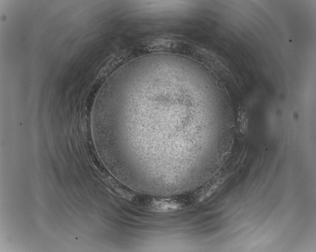 X0000068900753200605081345