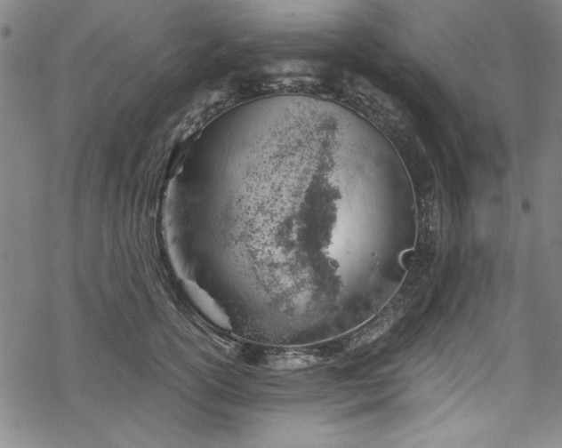 X0000068900754200605081345