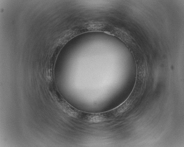 X0000068900755200605081345