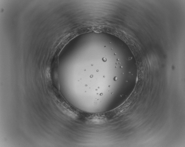 X0000068900756200605081345