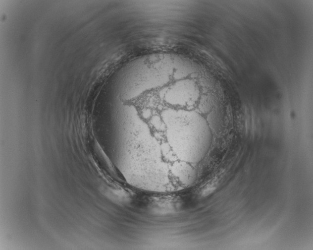 X0000068900757200605081345