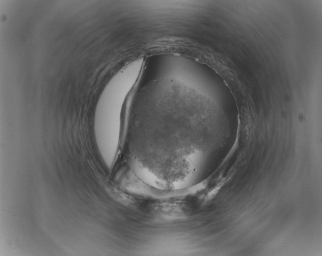 X0000068900758200605081345