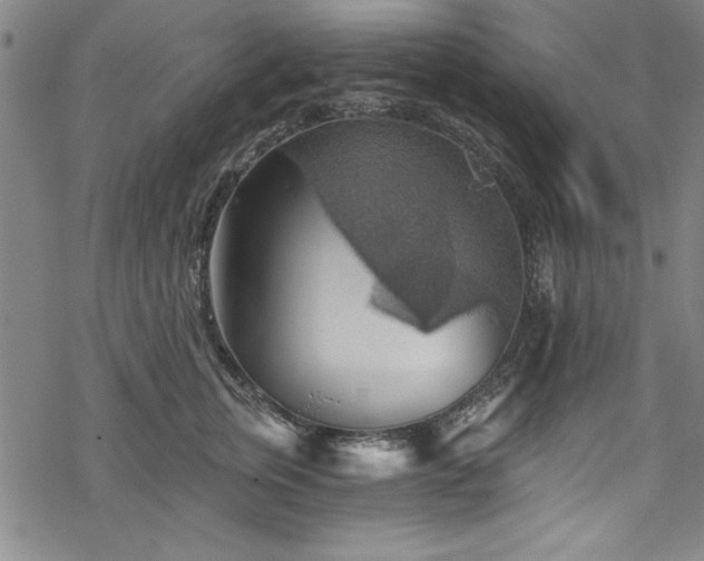 X0000068900759200605081345