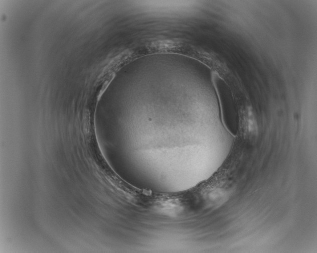 X0000068900760200605081345