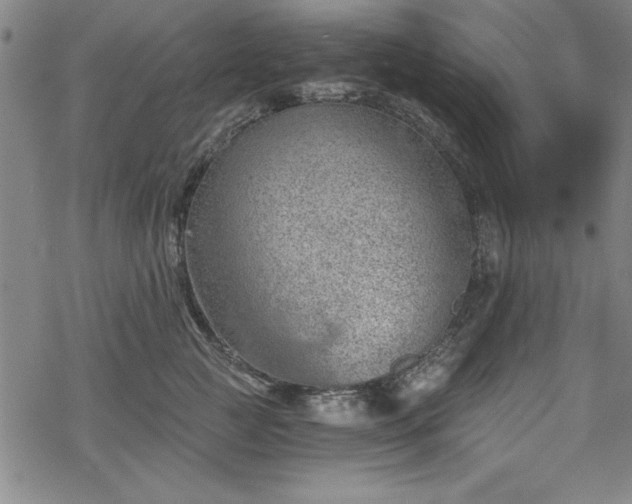 X0000068900761200605081345