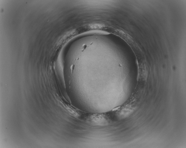 X0000068900762200605081345