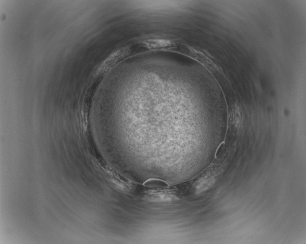 X0000068900763200605081345