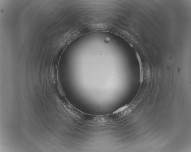 X0000068900764200605081345