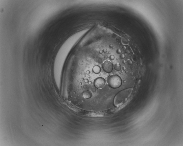 X0000068900765200605081345