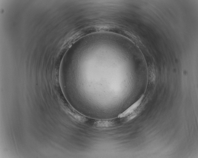 X0000068900766200605081345