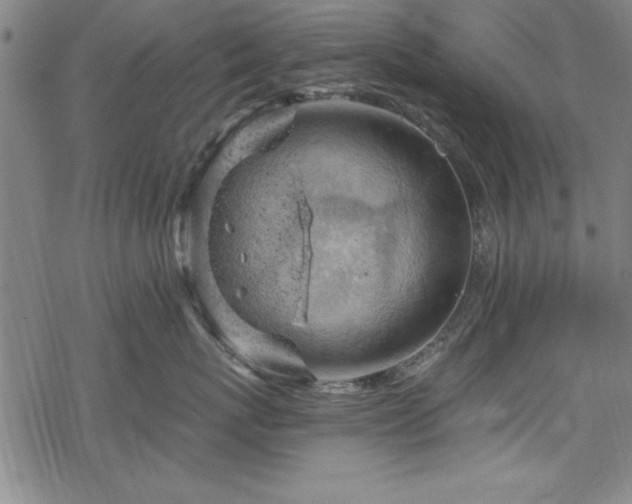 X0000068900767200605081345