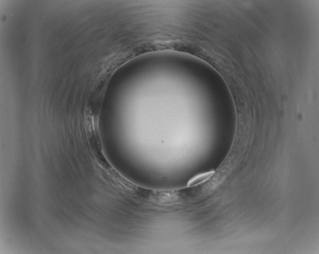 X0000068900768200605081345