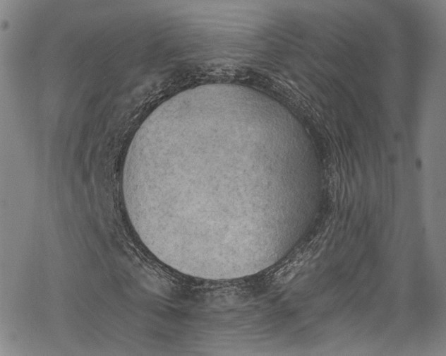 X0000068900769200605081344