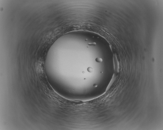 X0000068900770200605081344