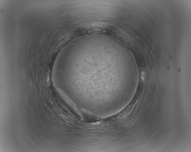 X0000068900771200605081344