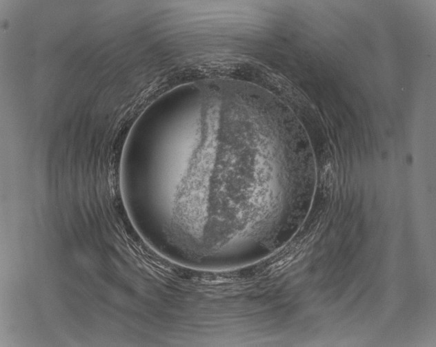 X0000068900772200605081344