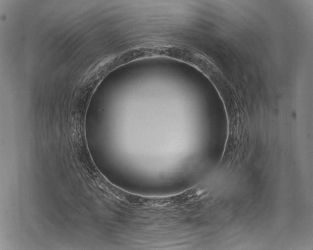 X0000068900773200605081344