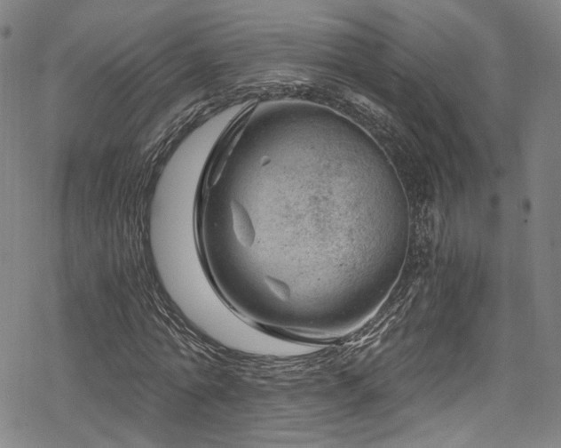 X0000068900774200605081344