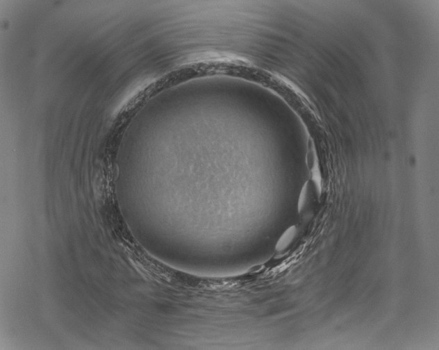 X0000068900775200605081344