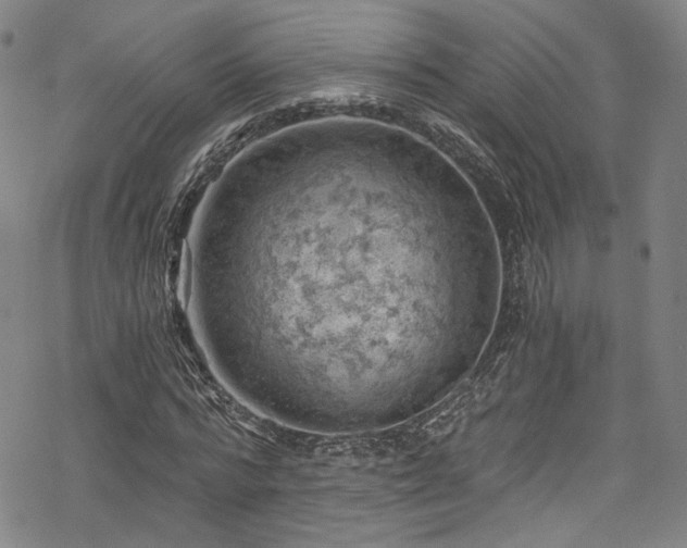 X0000068900776200605081344