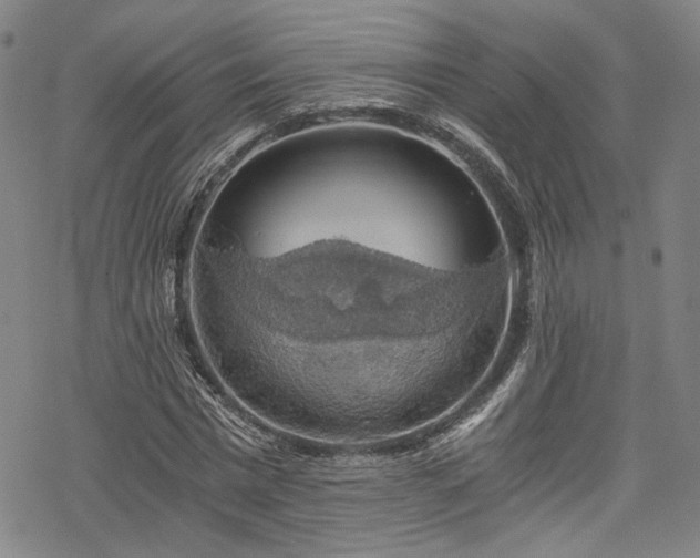 X0000068900777200605081344