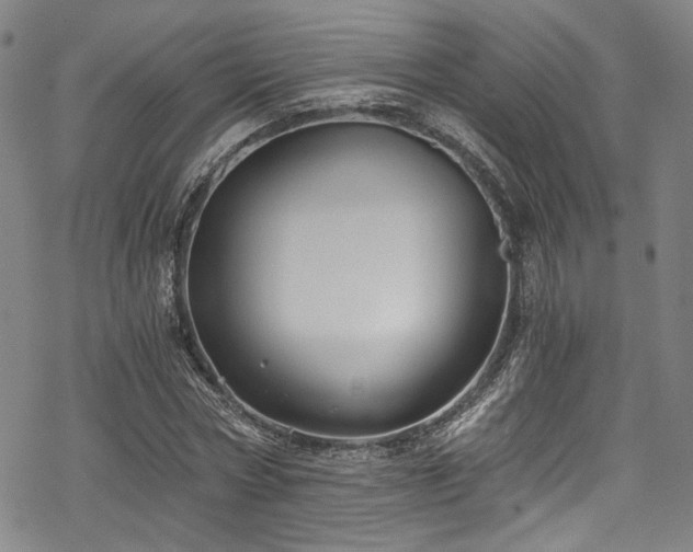 X0000068900778200605081344