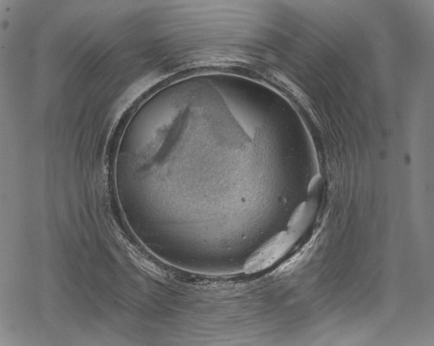 X0000068900779200605081344