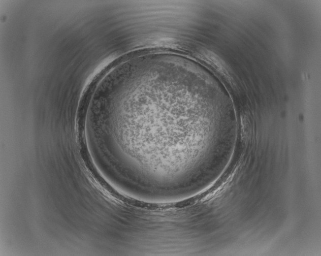 X0000068900780200605081344