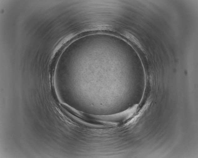 X0000068900781200605081344