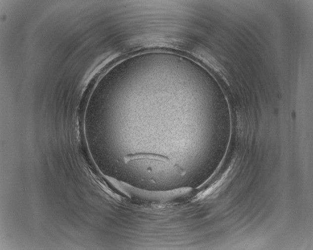 X0000068900782200605081344