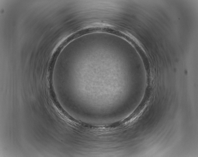 X0000068900783200605081344