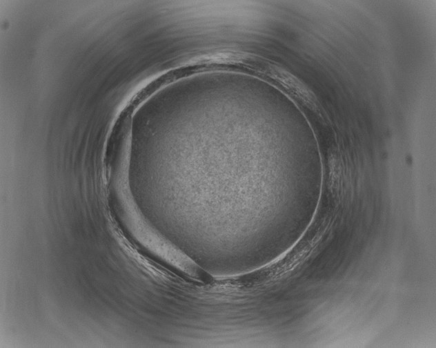 X0000068900784200605081344