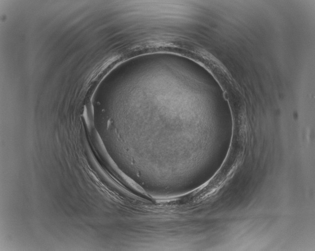 X0000068900785200605081344