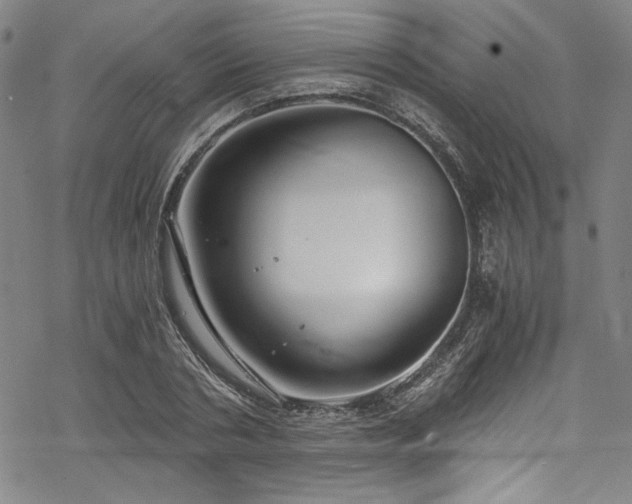 X0000068900786200605081344