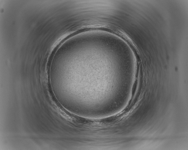 X0000068900787200605081344