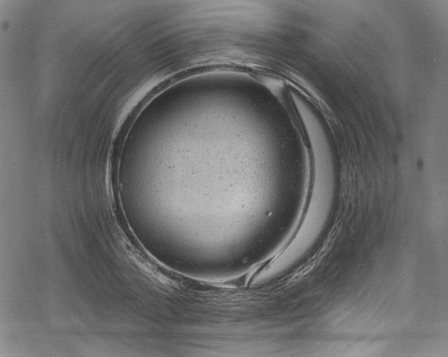 X0000068900788200605081344