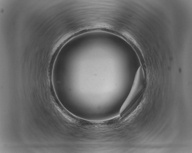 X0000068900789200605081344